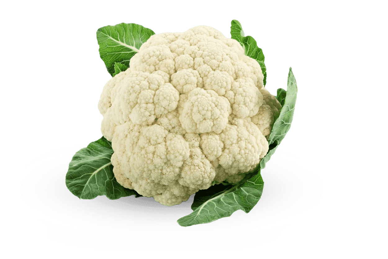 כרובית כרובית