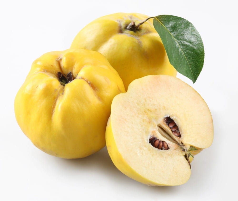 חבוש חבוש