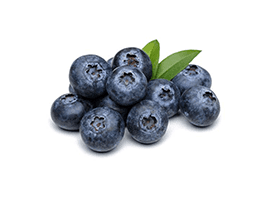 אוכמניות אוכמניות