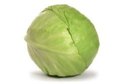 כרוב לבן כרוב לבן