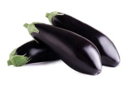 חציל חממה חציל חממה