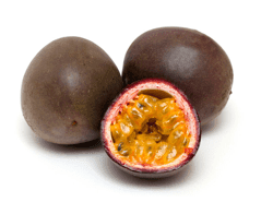 פסיפלורה פסיפלורה