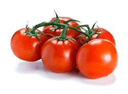 עגבניה אשכולות עגבניה אשכולות